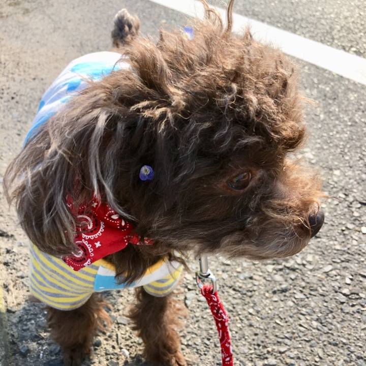 487c6216 dc70 4ed7 b754 031204dcf42f 1521876753830