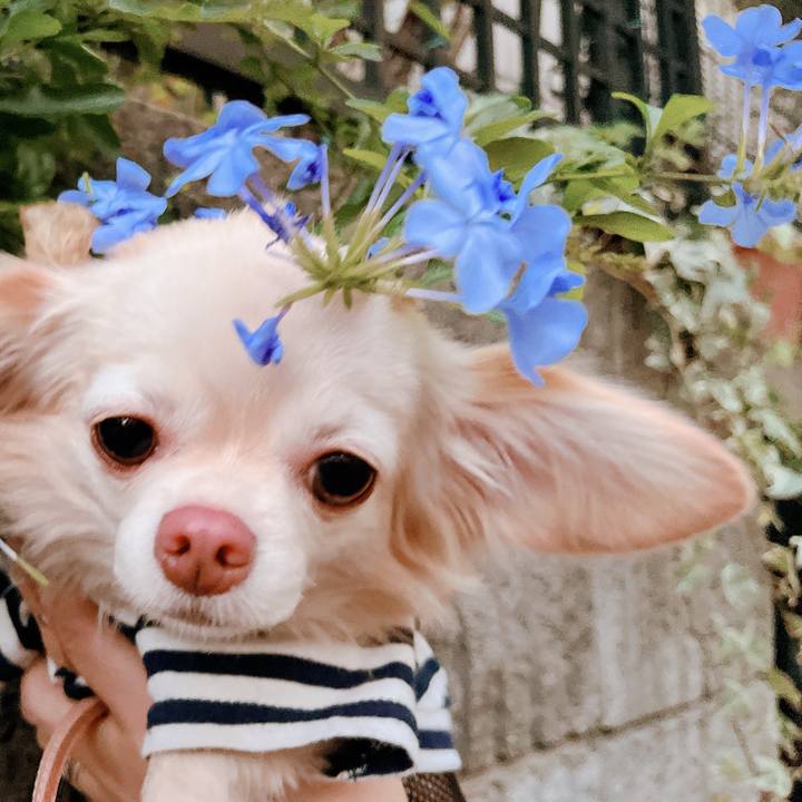 487c9c53 06ba 438f bf72 18b3d99b1b9a 1667897886850