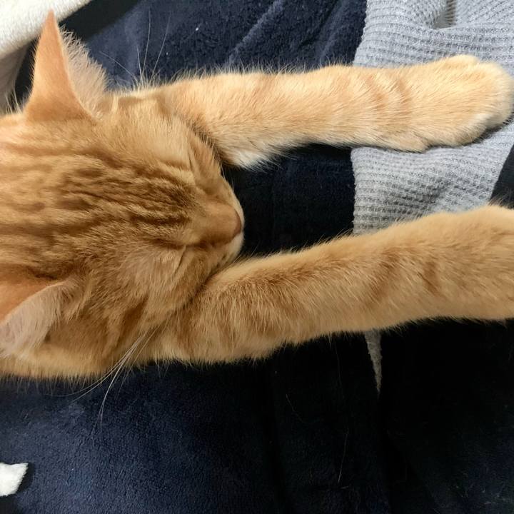 487c9da0 5292 4714 bb41 9e830368b804 1612748695668