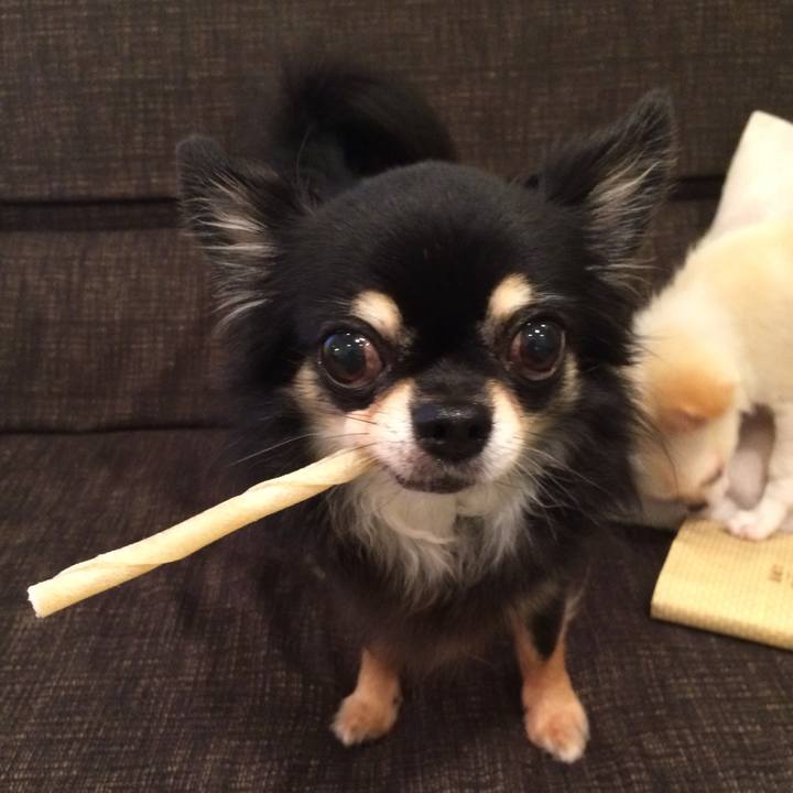 487ca3ae 72c4 4596 86b8 02232c21d6af 1509286182087