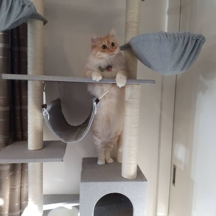 487caba6 cfed 455f b641 7f869d0106c5 1649389803253