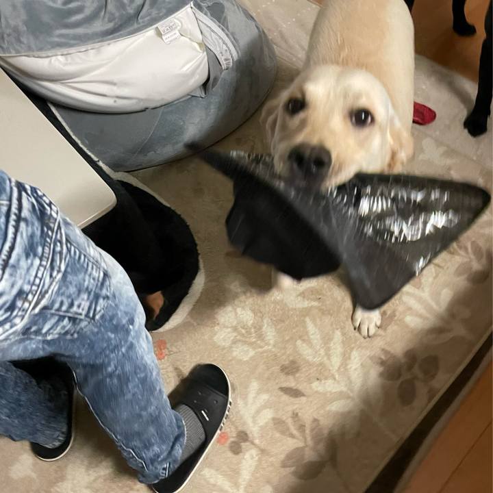 487cb2d3 5715 4c17 8a59 50b7de601b3c 1641680777972