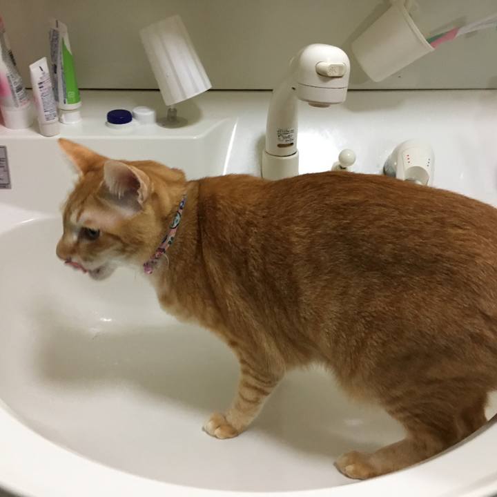 487cb2d6 88e9 4dbc bed1 4c2ab3379358 1544182440836