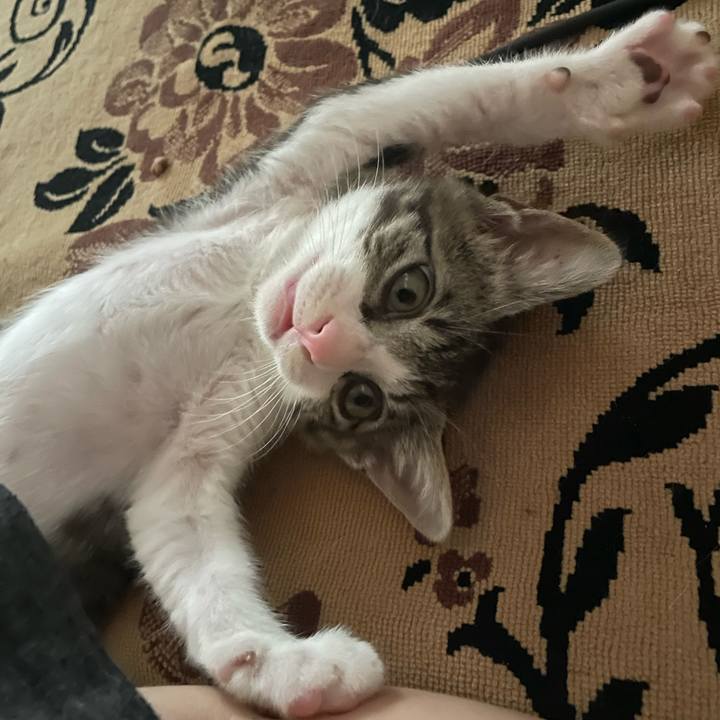 487ceecb e851 45c9 8df0 ee30a0922fc9 1721801431049