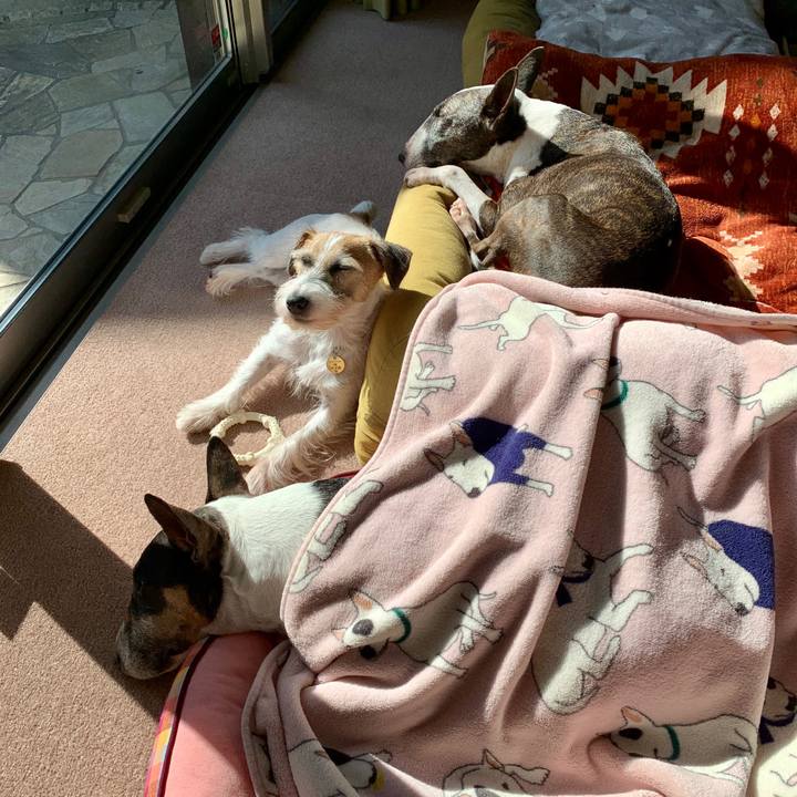 487cf128 e623 4ccf 9c40 c7d4d59eeed2 1603168309570