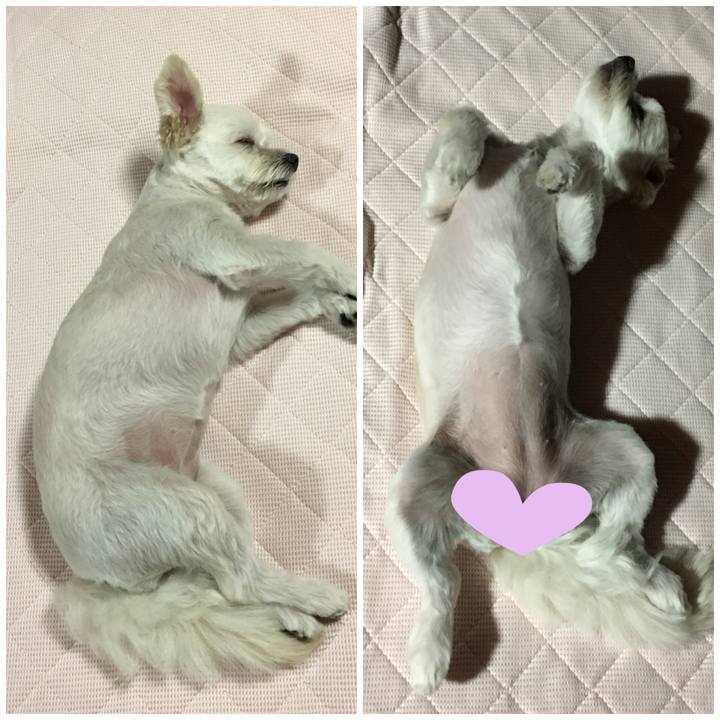 487d13fe 01ea 46bd a138 e7dee17c3295 1530100450581