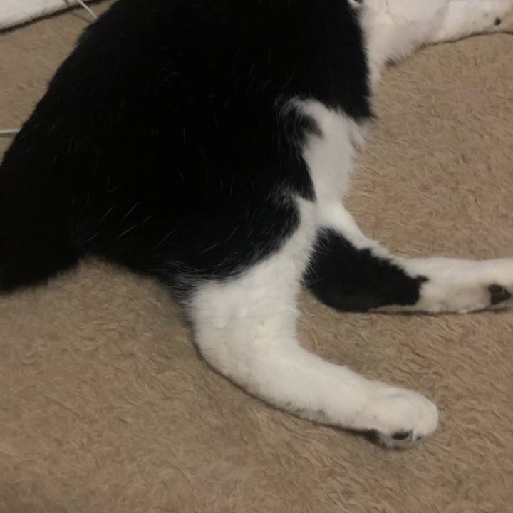 487d1a0f 6e0a 4d6c 8c82 22f3d302c07e 1612716168703