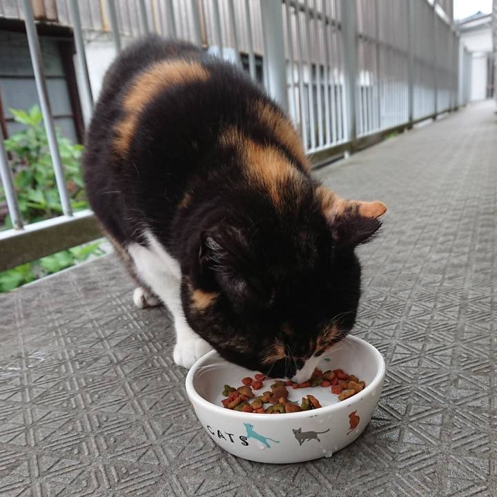 487d376b 26f3 49ec a7ae 978477214efb 1650929207531