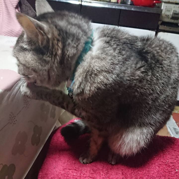 487d3bd5 ed76 4bd7 a272 76f6a0b033f8 1554236685099