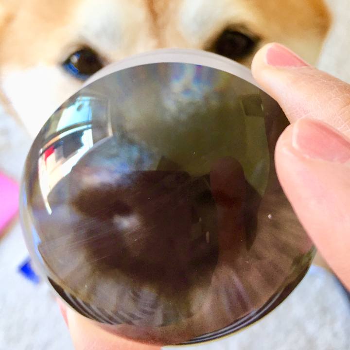 487d653a a0ba 4d16 8e72 588e056e1087 1555507090617