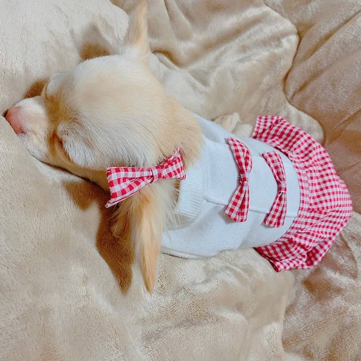 487d99aa be51 405b baad a6018e19c82f 1613642812267