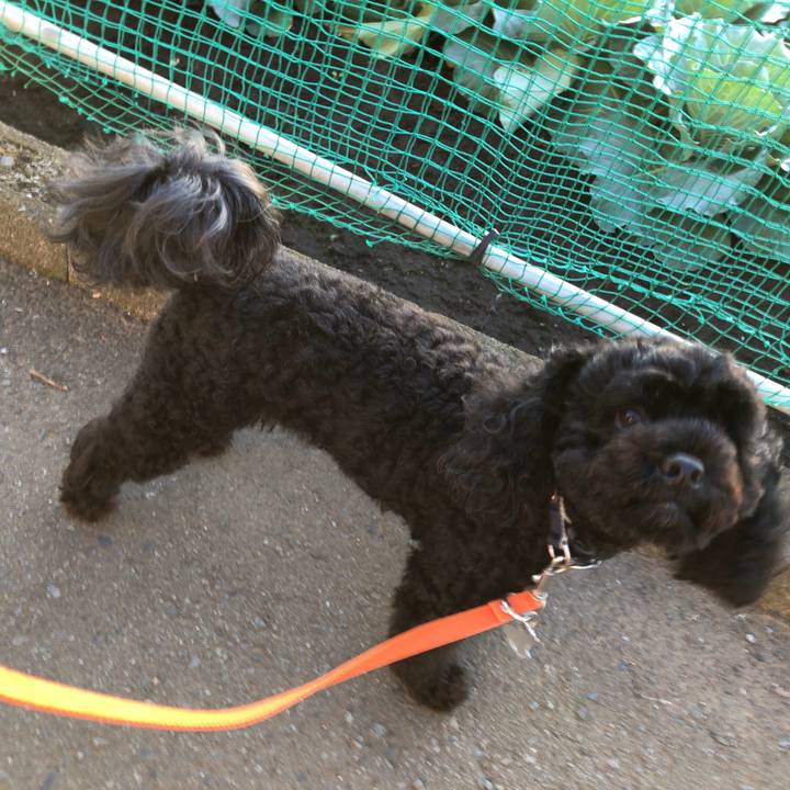 487de46c 0cfe 4a11 b70c 75bf2b1d207a 1539045485178