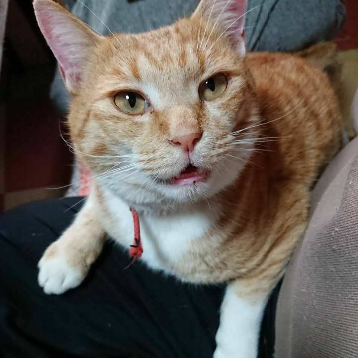 487e0b92 0c7c 4c8a 8e5a 33b4847b6117 1574568354960