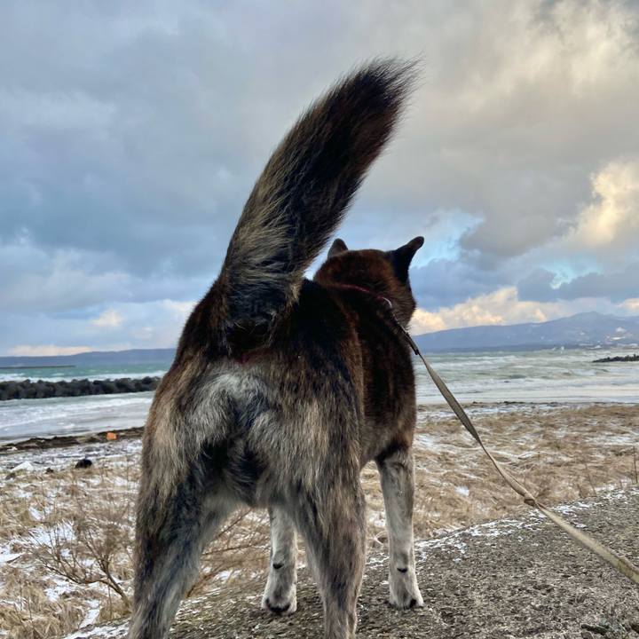 487e4416 f66e 4273 969f d02edea8857f 1645435278566