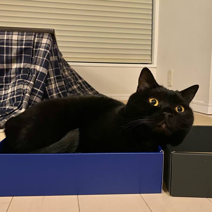 487e5502 caaa 452c b58c 17927ee909c0 1645358404376