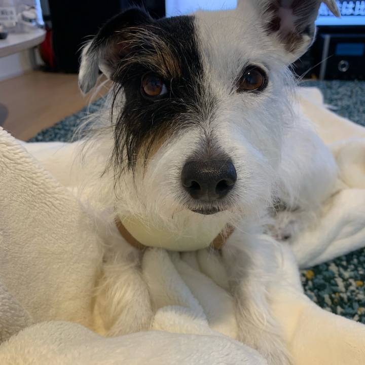 487edcf4 e0cf 41fd a6cd 1800007f6dc2 1635661075985