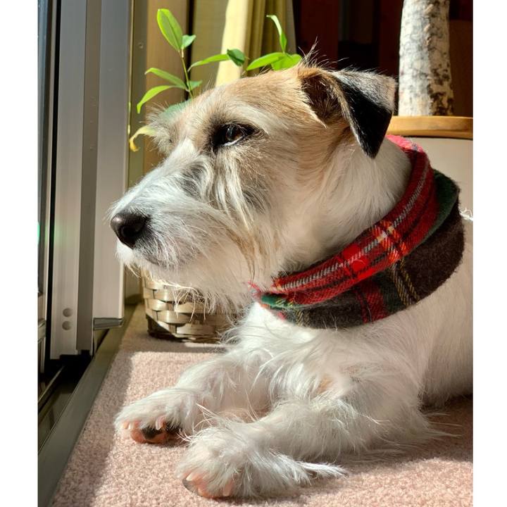 487f774d e231 4249 a61f 49411eb5803f 1672747070404