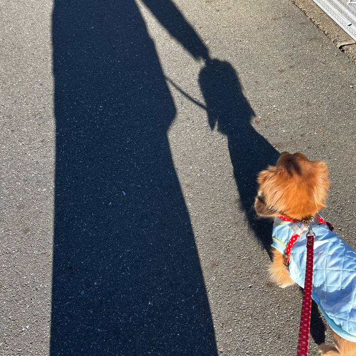 487f941c 5a2c 4455 af95 9f984da77924 1671790262324