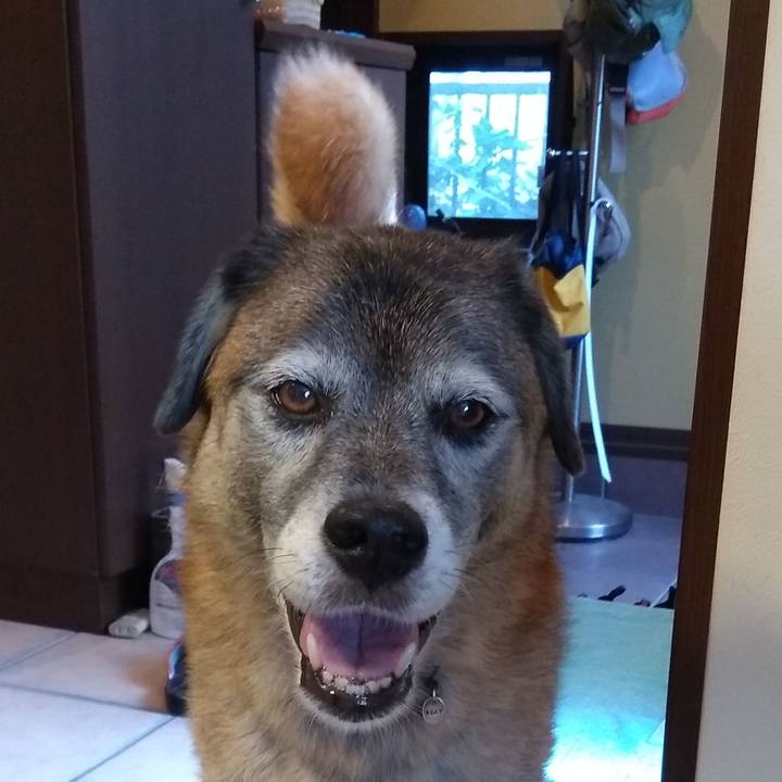 487fbe26 2454 4a14 9c21 b2be5ca45310 1569799560995