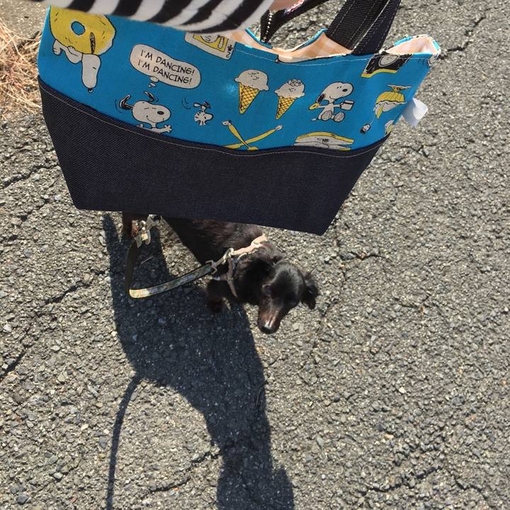 487fc030 344d 408e 97a5 f3ee27664042 1539902644317