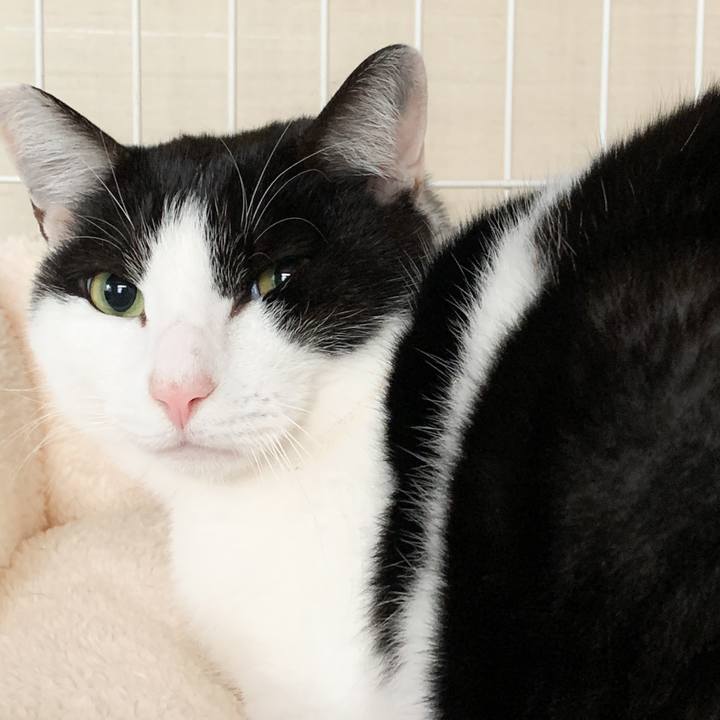 487fc605 29ef 4cfb 91ec 5d7543d83f7c 1575943125339