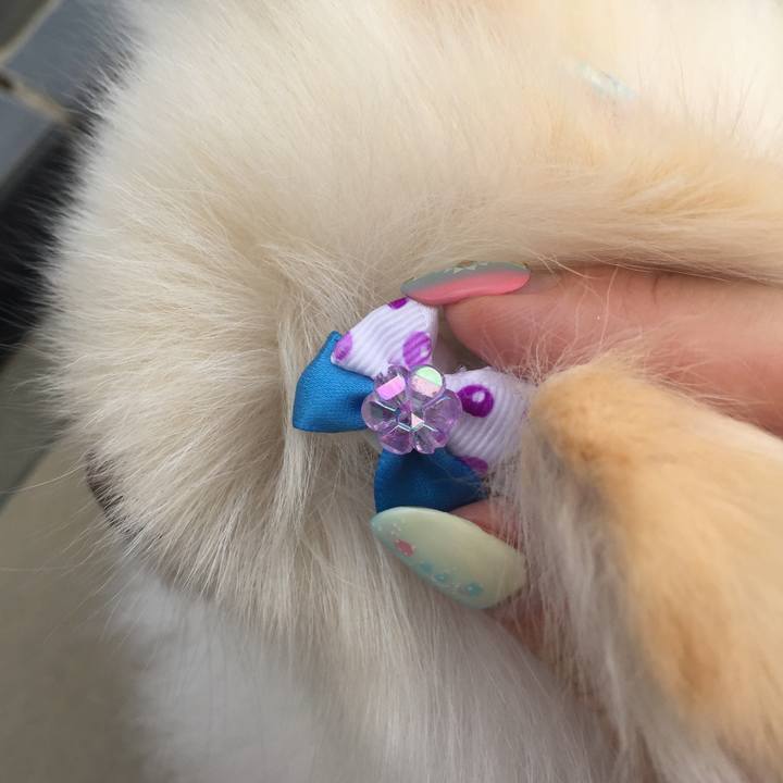 487fd149 3c64 4539 b865 a11bfe8f83bd 1561698661391