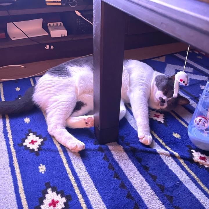 487fd291 9879 4e64 8d32 d54156c44bde 1661099864959