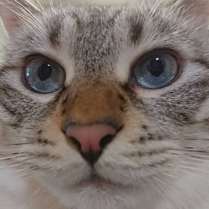 48801a4f 21cf 4a7f 98e4 fc673e019d52 1569660316480