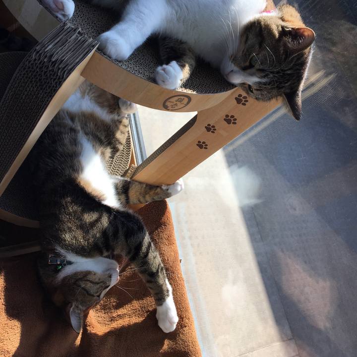 48802607 2995 4bf1 bf7c 30d18301cbf9 1673497727769