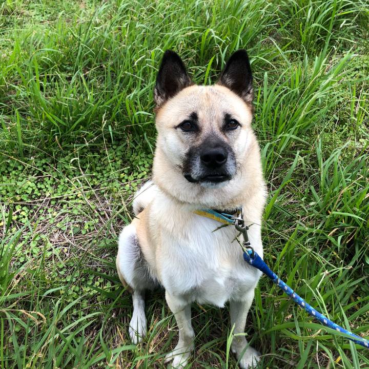 48804be3 a374 402d a752 0632af1329a5 1570872534183