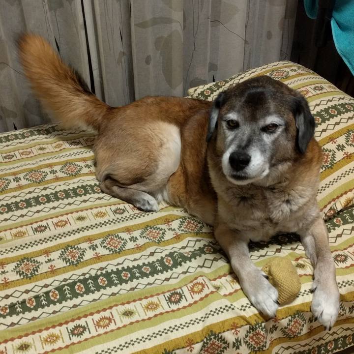 48804cd1 d0af 4305 bc74 6248351a918d 1551604706196