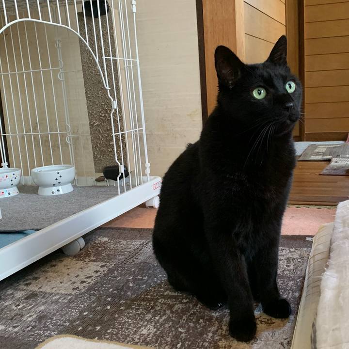 48804fdb 0dcd 4949 9aa8 051e392e6d33 1554771308665