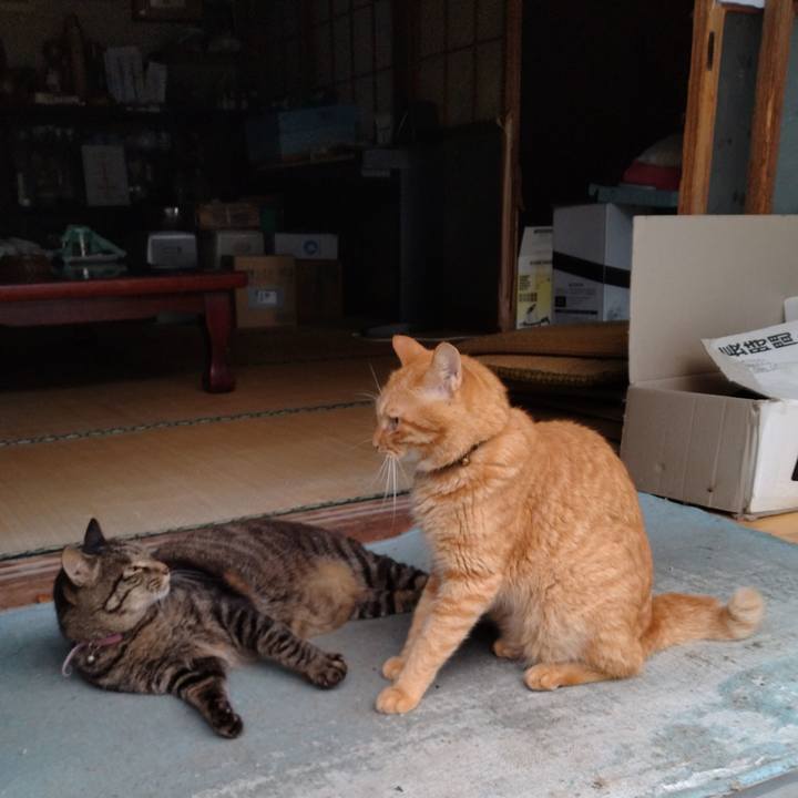 48805aba cbd0 4452 be3a 273d6d6b9a4b 1724027766468