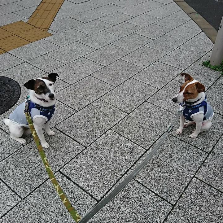 48807881 1b63 41e8 876a 6fd70a197530 1529798690796