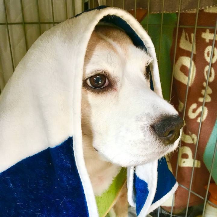 4880b087 c083 4f49 be31 03a93c9d526d 1769762031948