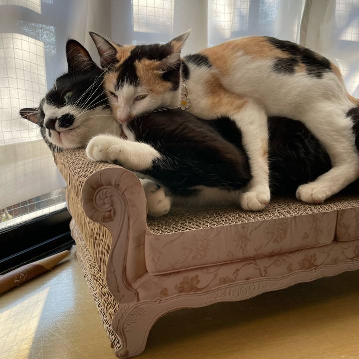 4880c5eb 7367 4e9c 85d9 2e030a82efa5 1673308990335