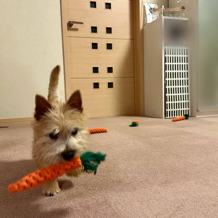 4880d2ef ee84 40b3 b333 252d53607c0e 1707313665999