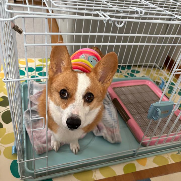 4880d440 6b3a 492b 85b1 993eeffd8b40 1765412464664