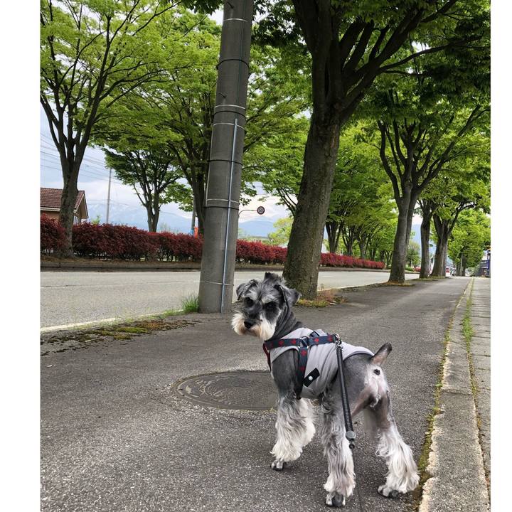 4880f87f db26 4674 8065 bf198d538b70 1651205864908