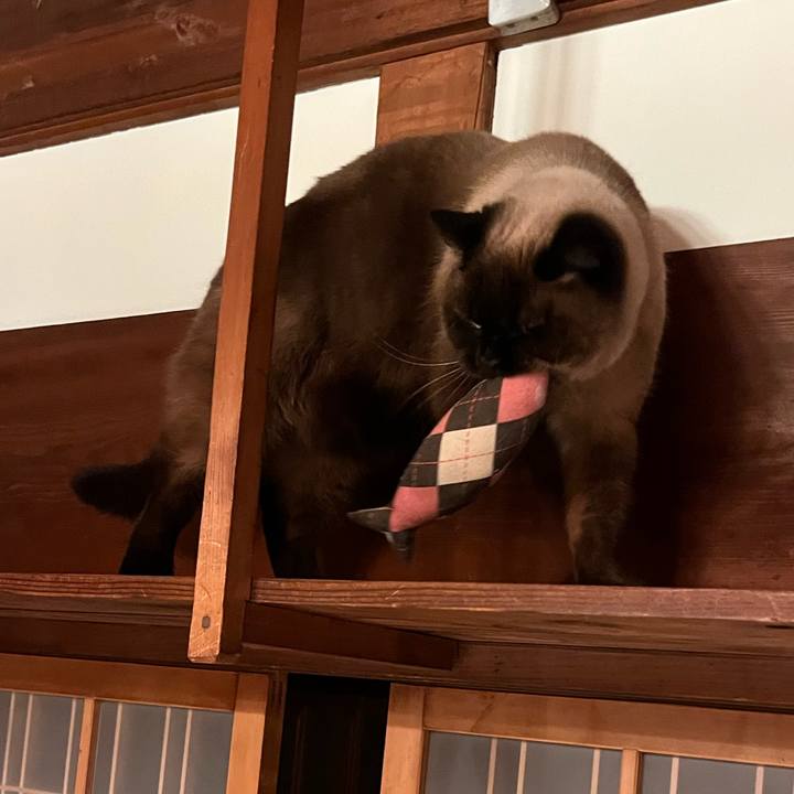 48810705 02c5 4d24 8f4e 21156921b099 1743513744494