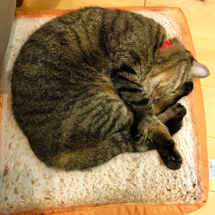 48810ba2 8788 4c06 90ee 5a813af13c13 1540819358408