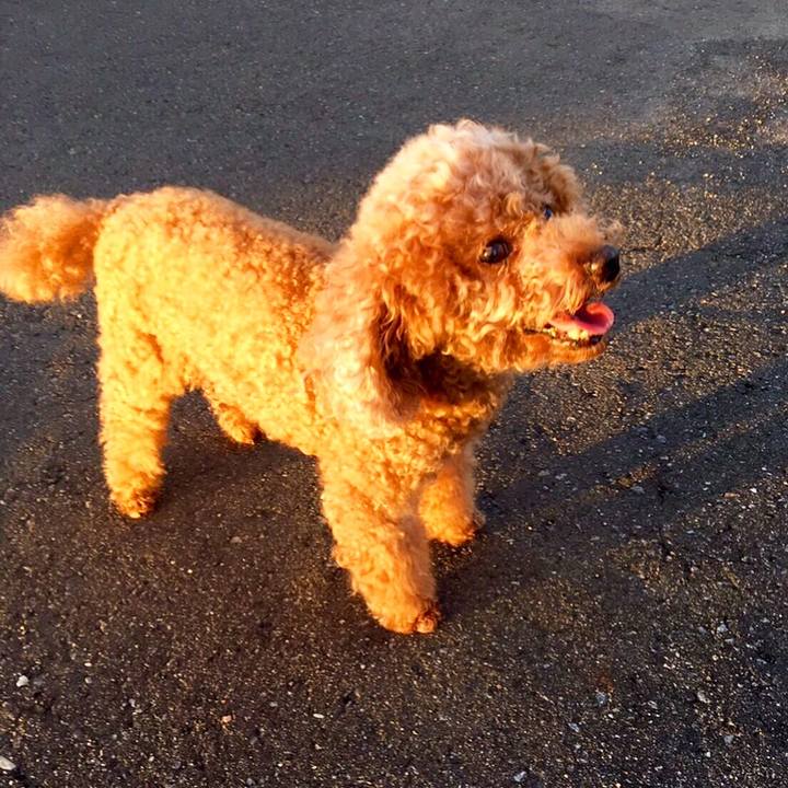 48812490 2a14 4ef3 b2ae 84d60fa11e8b 1567263493672