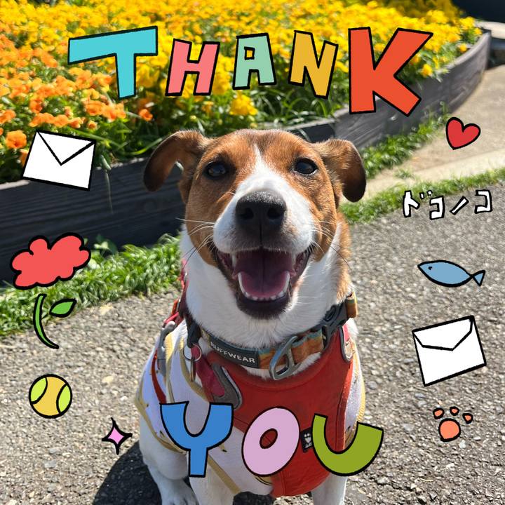 48817659 b277 45a1 9e79 03e0e9a7f276 1714965826817