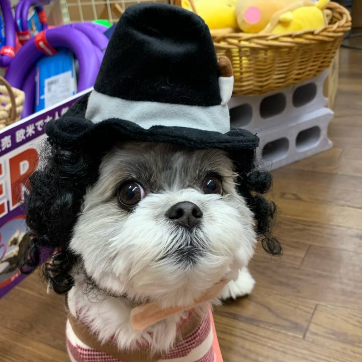 48818208 794c 43ba 9c9f 886a1be1de18 1575023172640