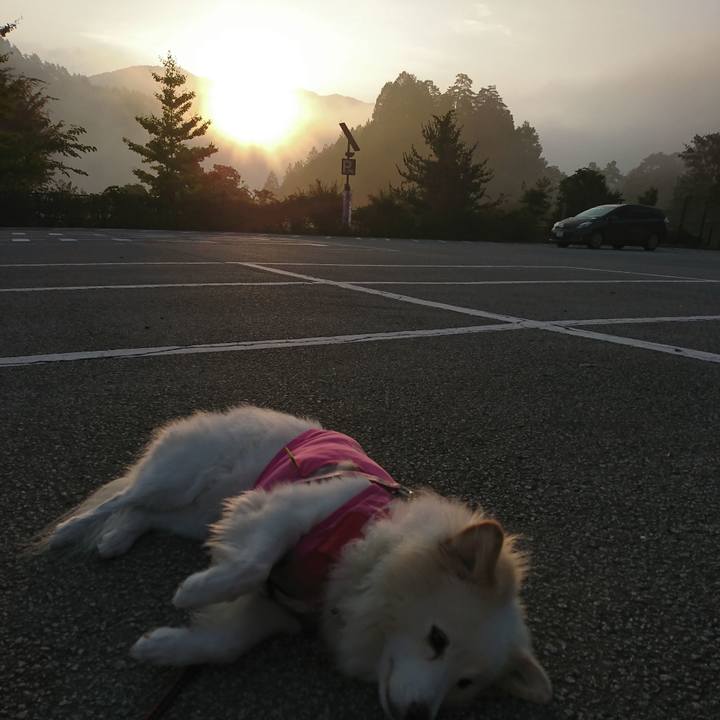 48818862 b5ee 4825 ac17 97673039fc43 1539121970380