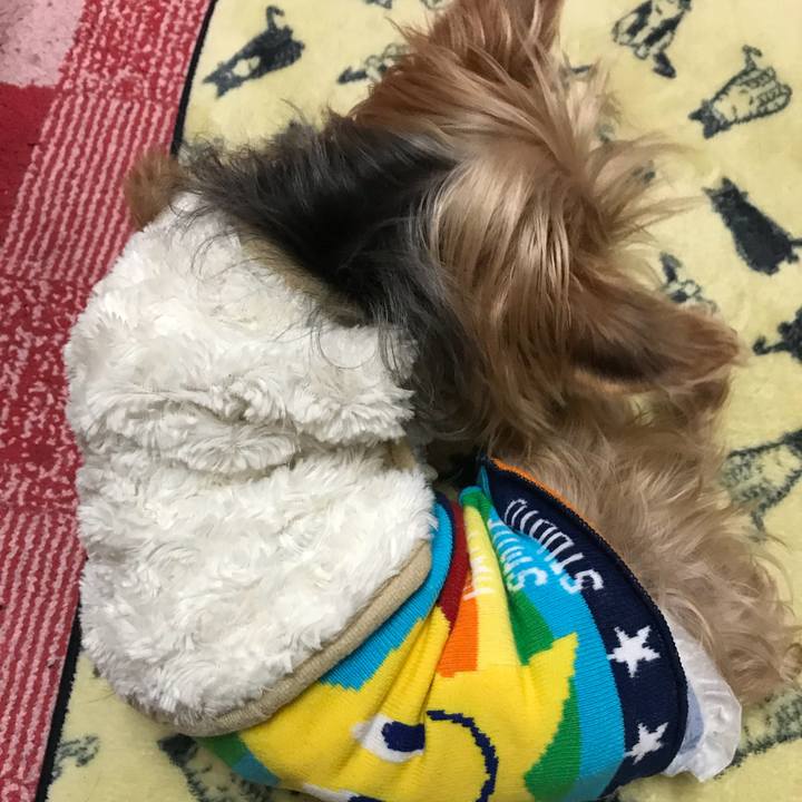 48819486 7208 4e43 8af8 920724f28440 1515670151599