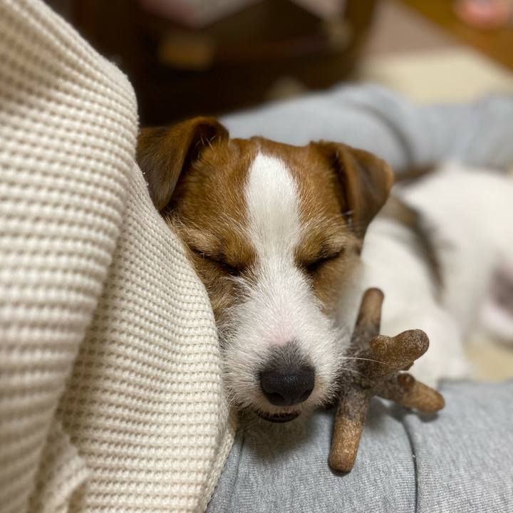 4881c8df 5209 490a 8b1b 4490baad2a70 1670846178621