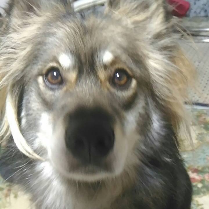 48821092 46e0 4db0 a9b2 a6cb7cb05ed4 1515306647085