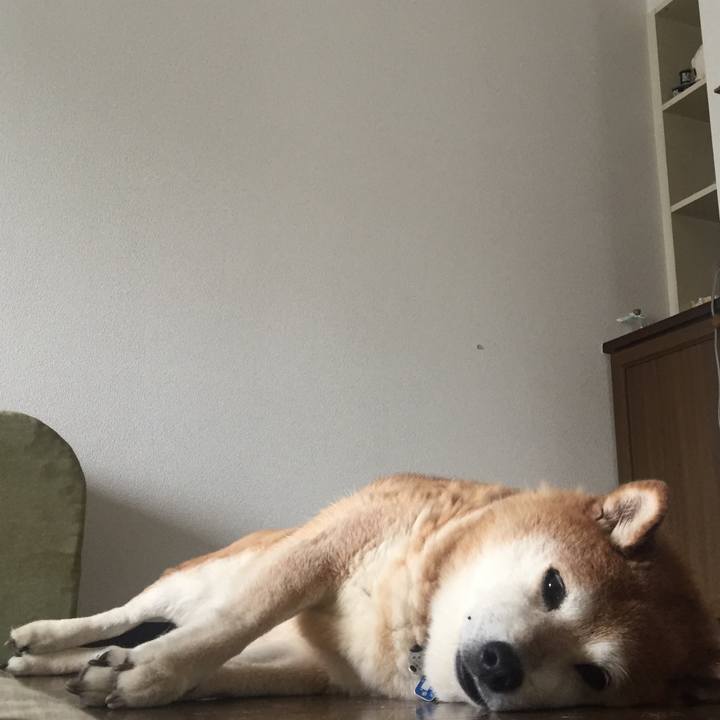 48824d96 e5dd 48c7 aaef c56069022a29 1531052347079