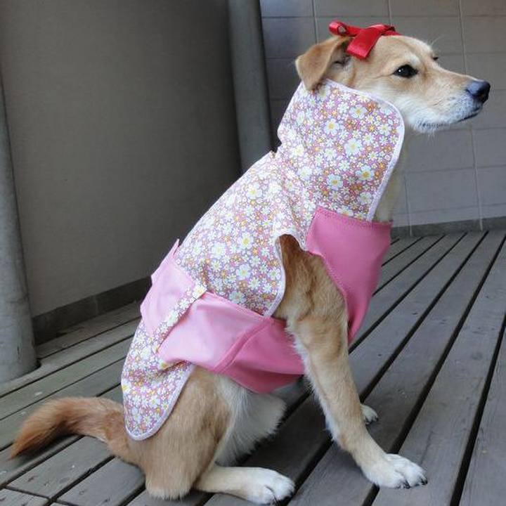 4882784e c154 46d4 8112 f9be303f3da1 1587207075555